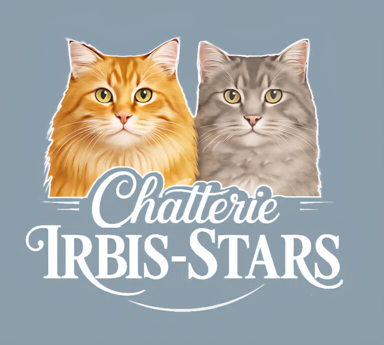 Chatterie Irbis-Stars
